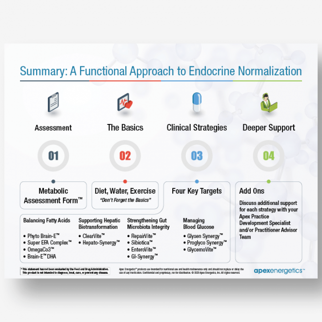 Endocrine System Product Presentation