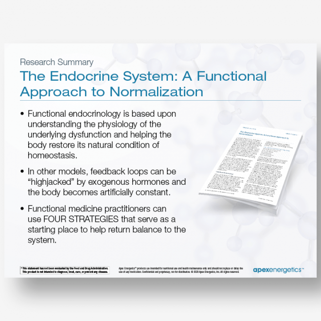 Endocrine System Product Presentation