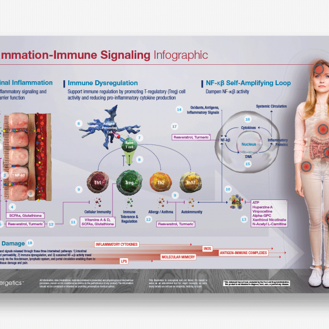 Inflammation-Immune Signaling Infographic Front